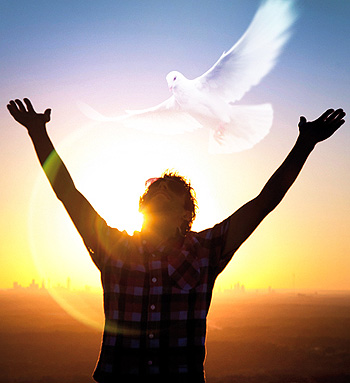 what-is-the-holy-spirit-dove